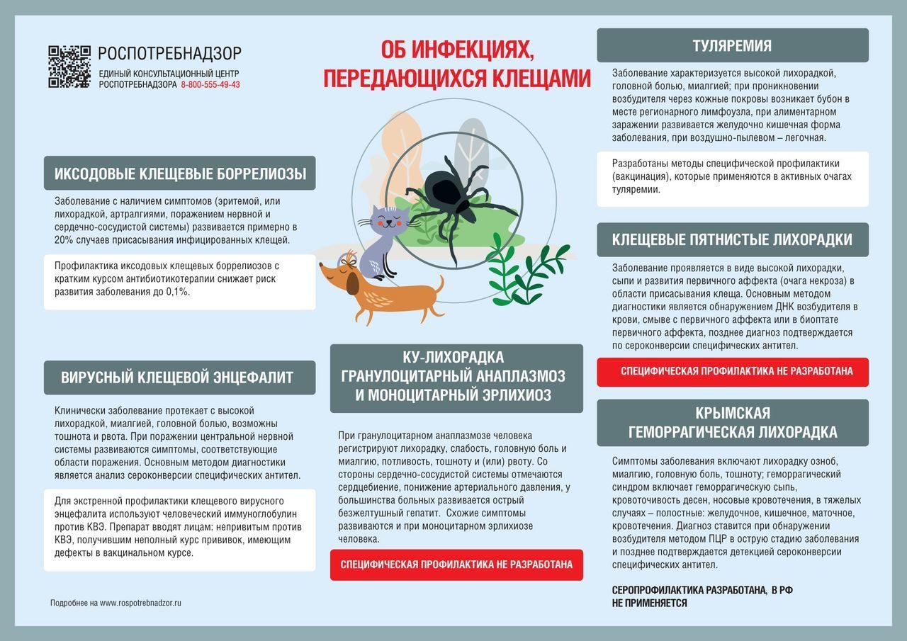 Муниципальное бюджетное общеобразовательное учреждение «Основная  общеобразовательная школа №33» - Сохраним природу